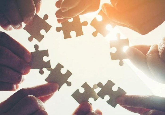 Fielty | Valores